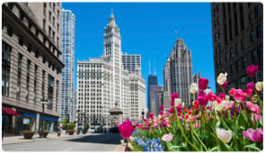 Your Spanish Translation Chicago Your Spanish Translation Chicago